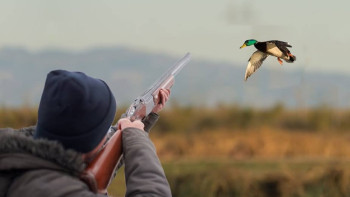 Фотография к новости: На 34 вида животных разрешено охотиться в Казахстане осенью и зимой