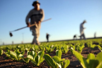 Фотография к новости: Из-за дорогих кредитов североказахстанские аграрии не в состоянии обновить технику