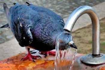 Фотография к новости: Штормовое предупреждение из-за жары объявлено на западе Казахстана 