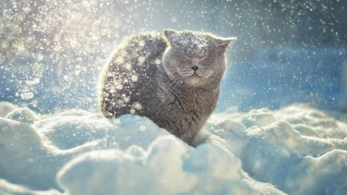  Телеканал 24