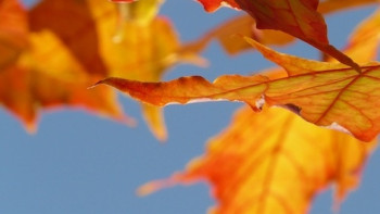 Фотография к новости: Погода без осадков сохранится на большей части страны 14 сентября 