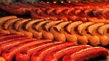 Фотография к новости: Колбасный завод по поручению Президента построят в Астане уже в 2019 году 