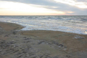 Фотография к новости: Солёность Южного Арала в четыре раза выше, чем в Мировом океане – QazaqGeography