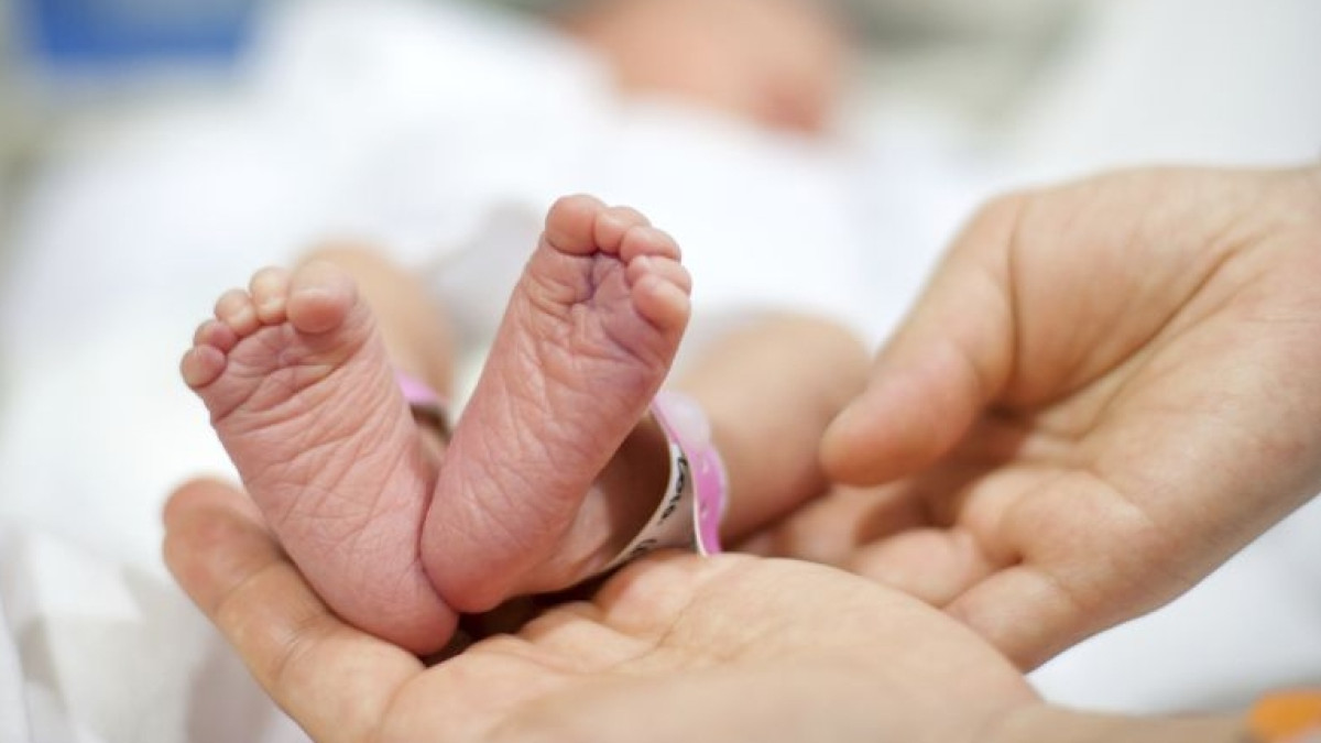  Из открытых источников 