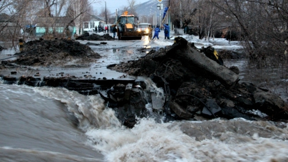  инфоцентр ВКО