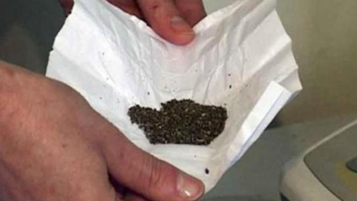  Иллюстративное фото 