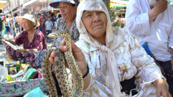 Фотография к новости: В Узбекистане официально признали народную медицину