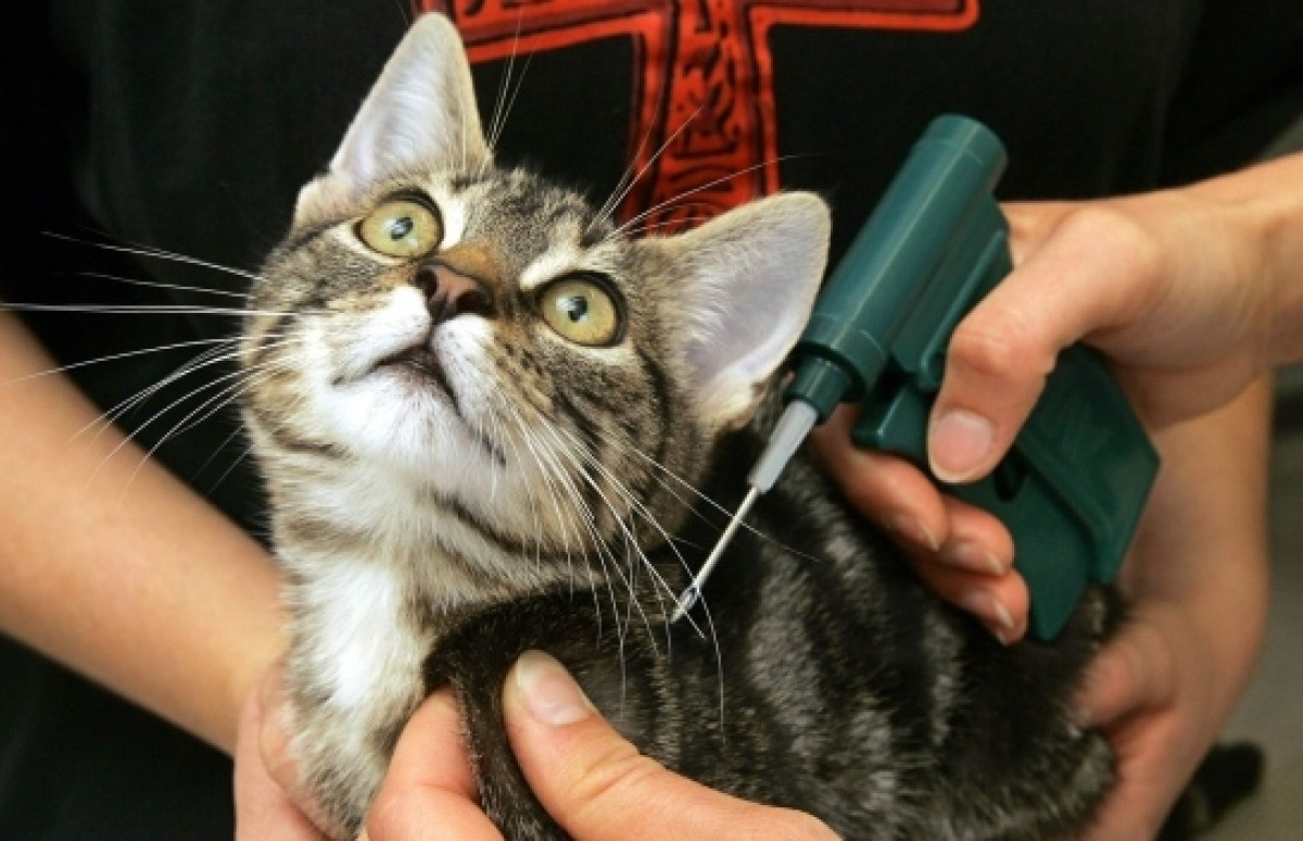  Из открытых источников 