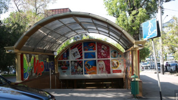 Фотография к новости: Бизнес-леди открыла 58 бутиков в подземных переходах Алматы