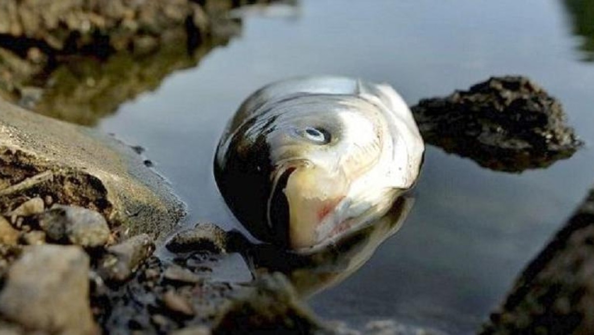  открытые источники