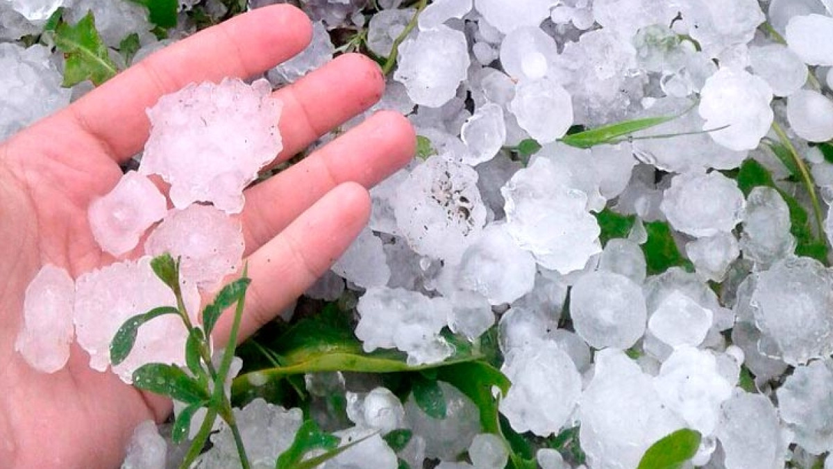  Из открытых источников 