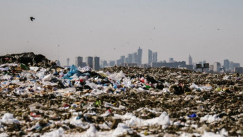 Фотография к новости: Больше семи млн тенге задолжали водители за нарушение правил благоустройства в Астане