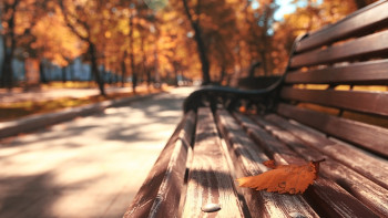 Фотография к новости:  Тепло придёт в Казахстан в ближайшие трое суток 