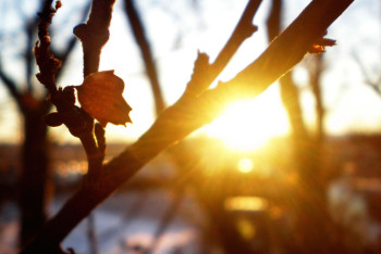 Фотография к новости: Потепление придёт в Астану к выходным