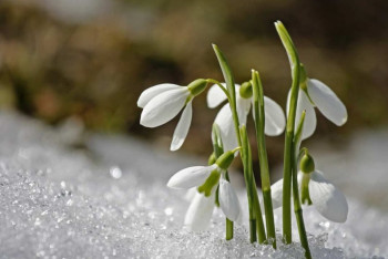 Фотография к новости: Погода без осадков сохранится на большей части страны