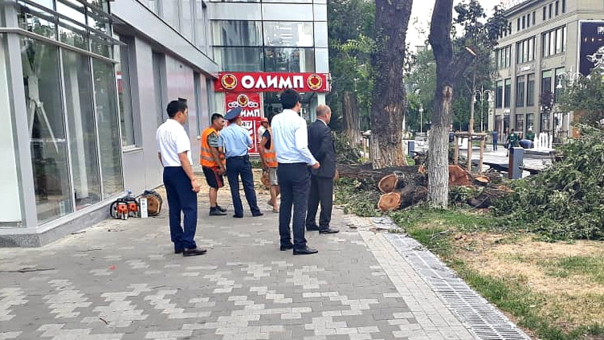  пресс-служба акима г. Алматы