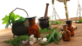 Фотография к новости: Урегулировать вопрос нетрадиционной медицины в Казахстане призвали депутаты