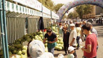 Фотография к новости: В три раза больше продукции привезут на арбузную ярмарку в Алматы