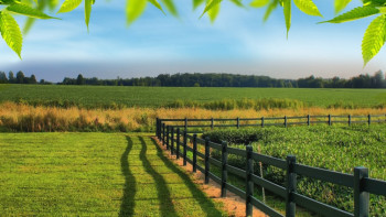 Фотография к новости: М.Тайжан предложил ввести институт аренды только для граждан Казахстана