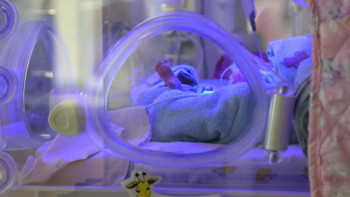 Фотография к новости: Посол Казахстана в Турции лично занимался делом девочки, родившейся в Турции - МИД