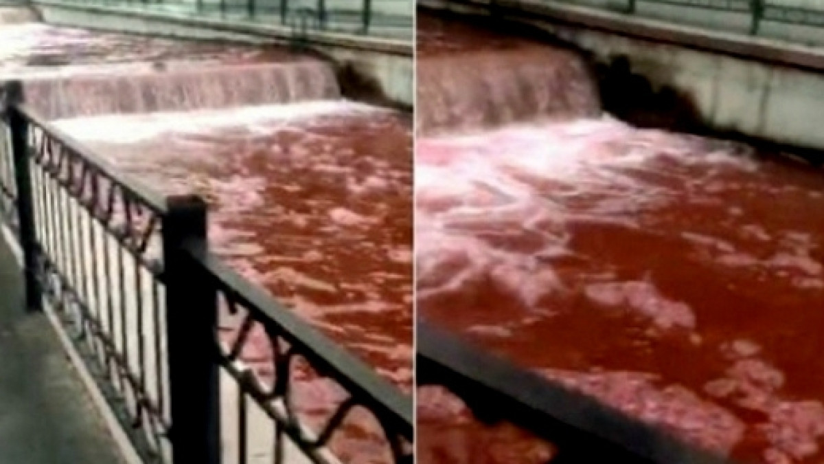  Скриншот из видео 