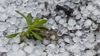 Фотография к новости: Пыльные бури и град ожидаются в Казахстане 25 июля