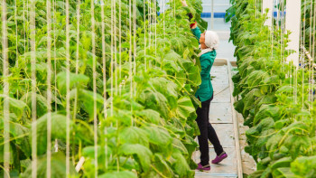 Фотография к новости: Казахстанские овощеводы готовы проинвестировать проект школьницы из Костаная 