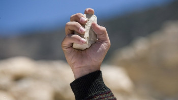 Фотография к новости: Душевнобольной закидал камнями дорогие авто в Алматы