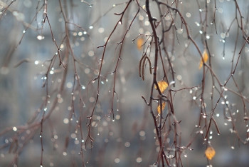Фотография к новости: Туман и усиление ветра ожидается в Казахстане 18 мая