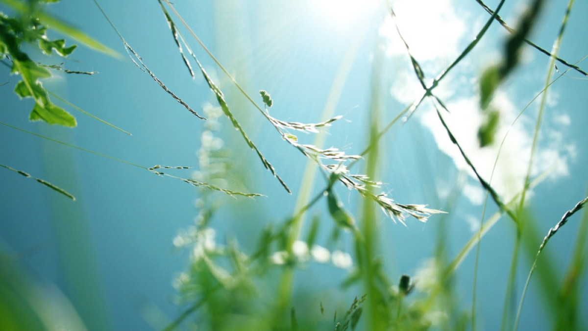  Из открытых источников 