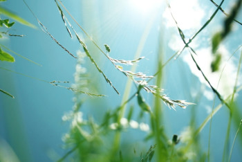 Фотография к новости: Какой будет погода в Казахстане в выходные дни, рассказали синоптики