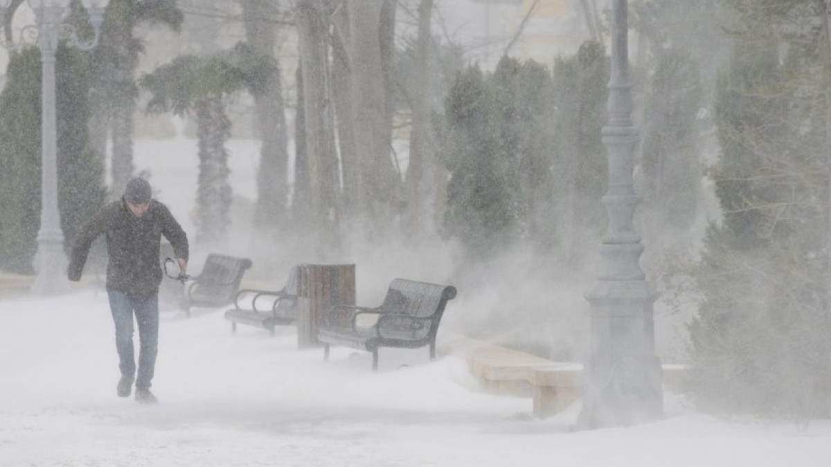  Из открытых источников 