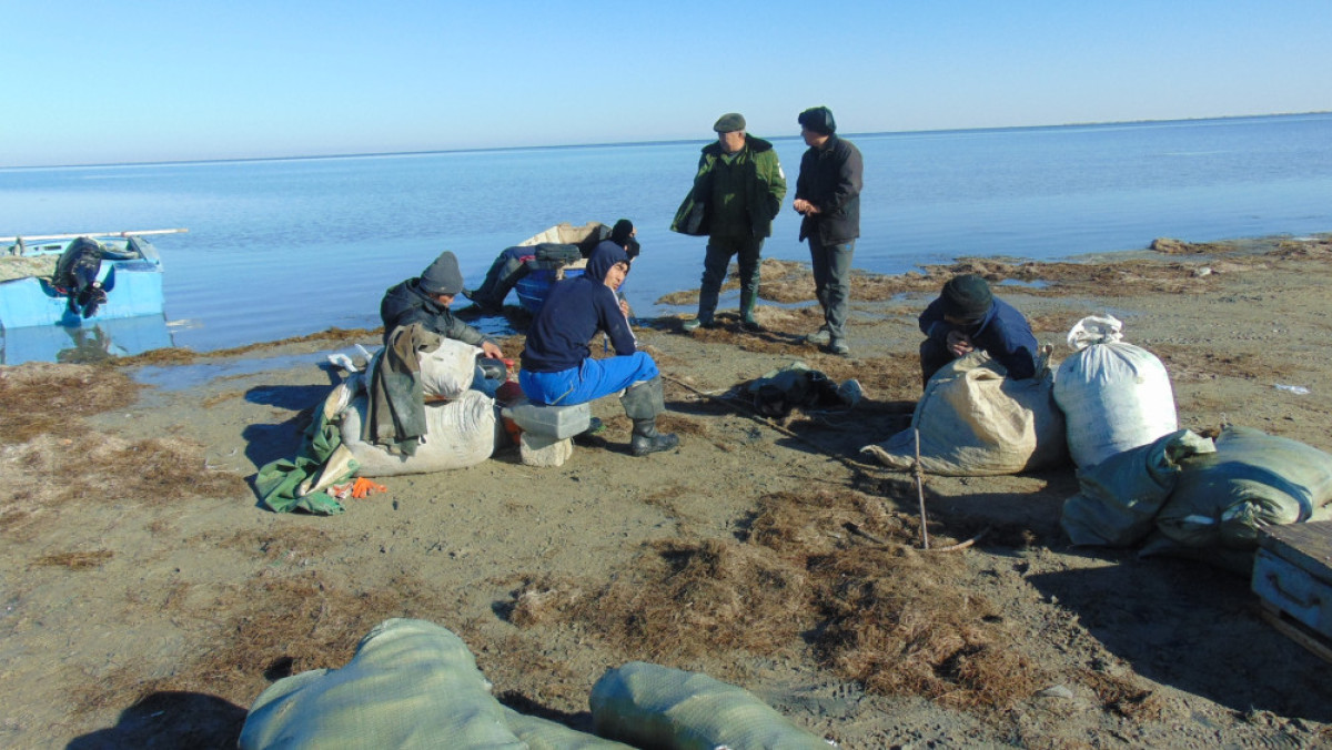  ДВД Кызылординской области