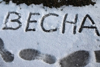 Фотография к новости: В Прииртышье выпал снег