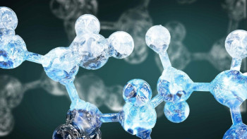 Фотография к новости: Ученые вычислили вероятность встретить двойника