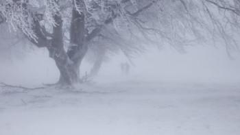 Фотография к новости: Штормовое предупреждение объявлено в трёх регионах Казахстана  