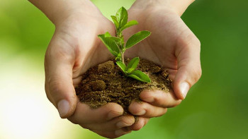 Фотография к новости: В РК предлагают направлять штрафы за ущерб  природе на решение экопроблем