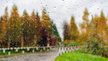 Фотография к новости: Дожди на большей части территории Казахстана прогнозируют синоптики