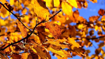 Фотография к новости: Погода без осадков ожидается в Казахстане 17 сентября