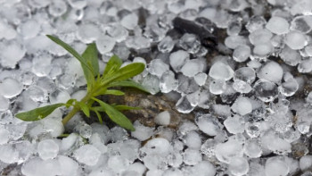 Фотография к новости: Град и пыльные бури ожидаются в Казахстане 7 июля