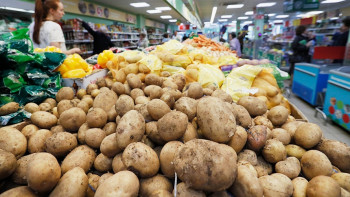 Фотография к новости: Меморандум по сдерживанию цен на картофель подписали в Алматы