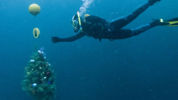 Фотография к новости: Дайверы установили на дне Голубого озера новогоднюю ель