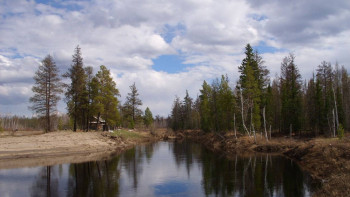Фотография к новости: МСХ планирует построить резерват на берегу реки Жайык для сохранения лесов