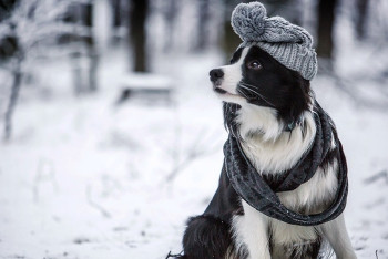 Фотография к новости: Неустойчивый характер погоды ожидается в Казахстане 22 марта 