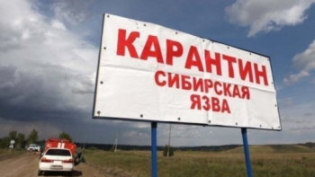 Фотография к новости: Карантин из-за вспышки сибирской язвы снимут в ВКО