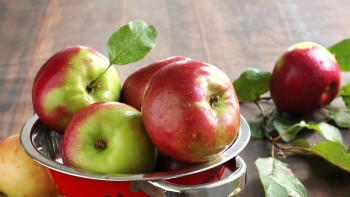 Фотография к новости: Яблочное меню появится в ресторанах Алматы ко дню города