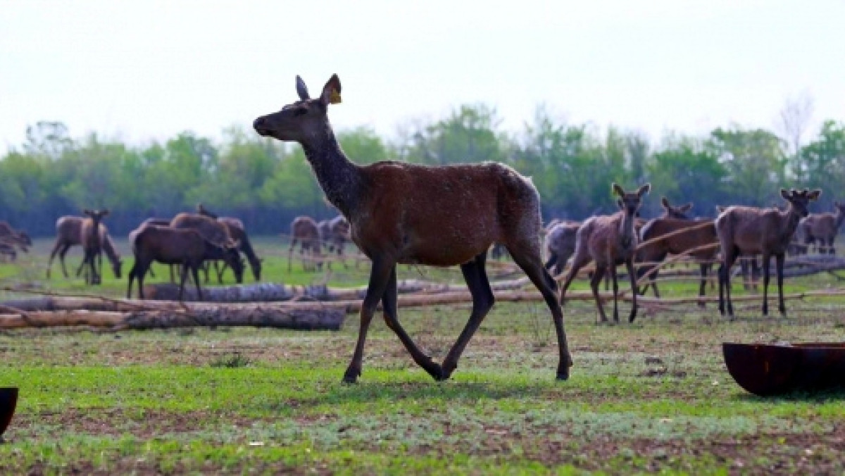  пресс-служба акима Актюбинской области