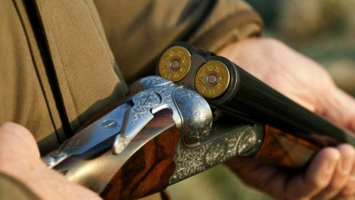  Из открытого источника 