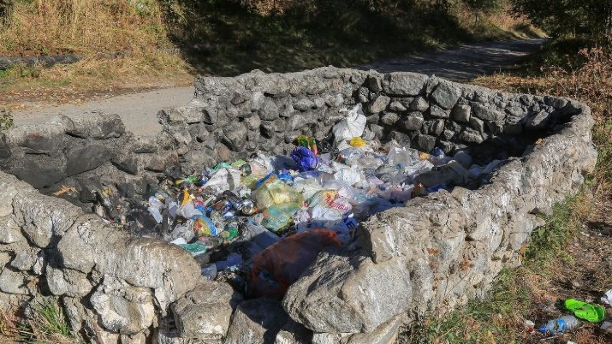  ЭО "Зеленое спасение"