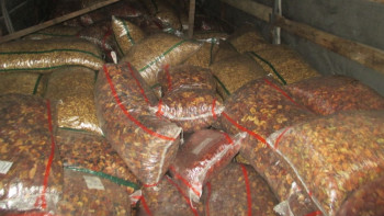 Фотография к новости: Контрабандные фрукты и сухофрукты пытались провезти в Казахстан